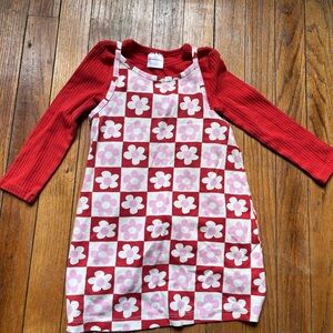 Hanna Andersson Red and Pink Floral Shirt